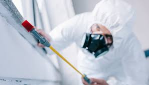 Best Commercial Pest Control  in Kingston, IL